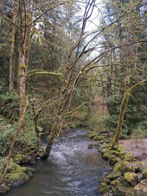 Tynehead Regional Park
