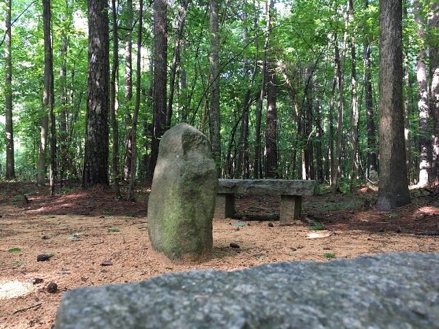 Carolina North Forest