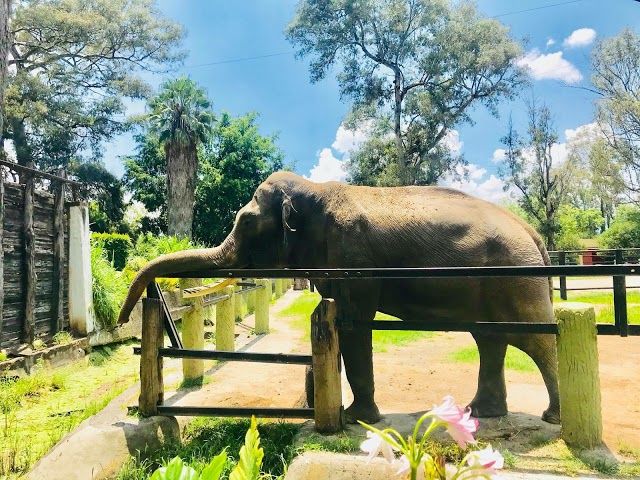 Morelia Zoo Aquarium
