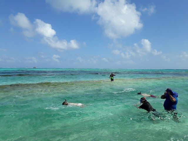 Acuario San Andres