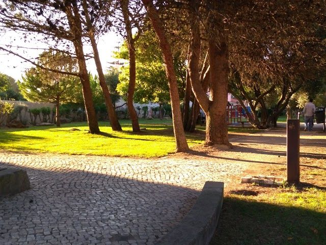 Pinhal do Junqueiro