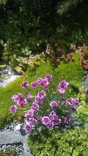 Jennings Memorial Park