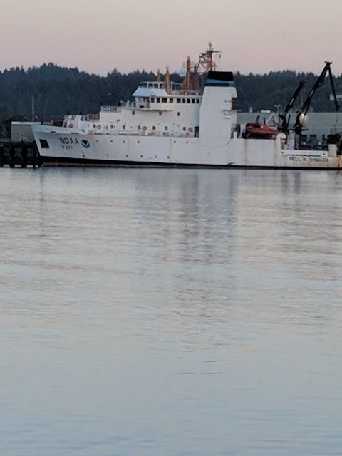 Newport Sea Lion Docks