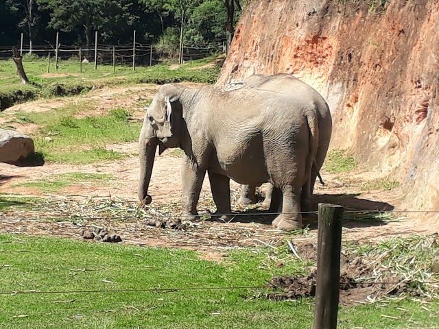 Zooparque Itatiba
