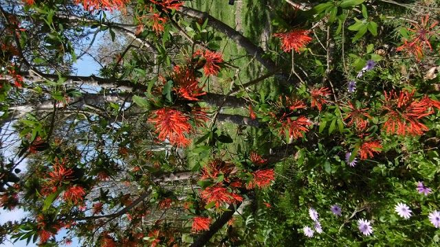 Parc Botanique ar-Paeron