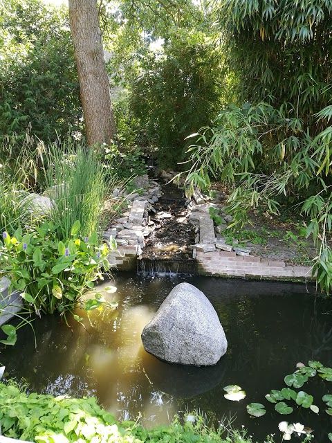 Botanische Tuin TU Delft