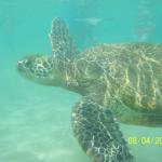 George's Zoo Liquor Deli