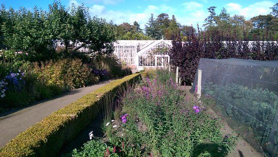 Cambo Gardens