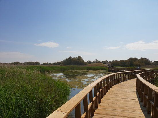 Parque Nacional de las Tablas de Daimiel