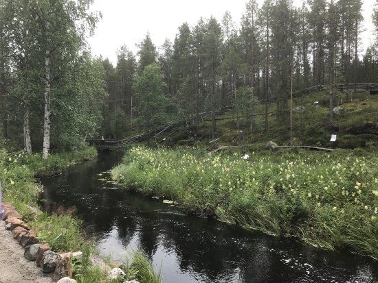 Jokkmokks Fjalltradgard