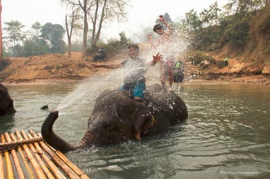 Mahawangchang Elephant Camp