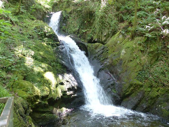 Dolgoch Falls