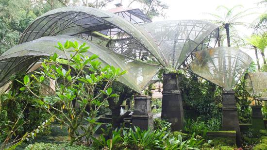 Jardín Botánico de Ubud