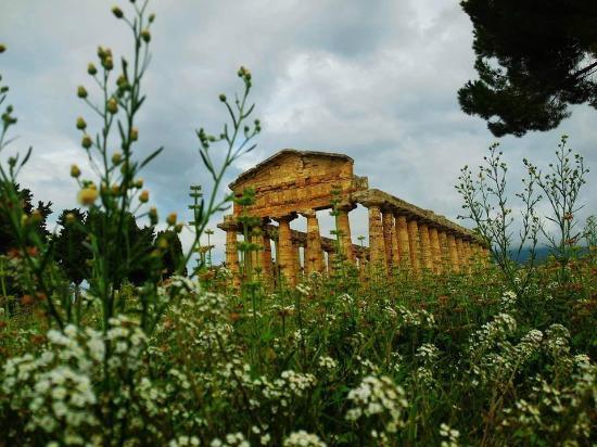 National Archaeological Museum of Paestum