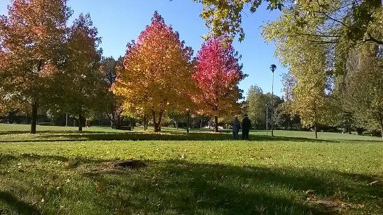 Local park of the forest of Legnano