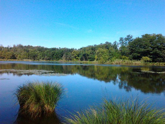Parco dei Lagoni di Mercurago