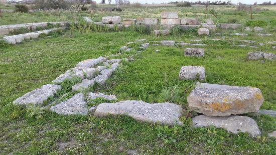 Tempio di Apollo Aleo