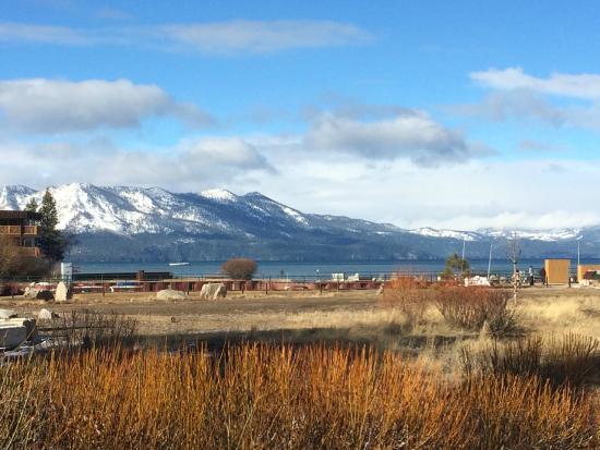 Bear Moon Bar & Grill