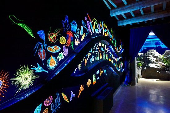 Natural History Museum of Maremma