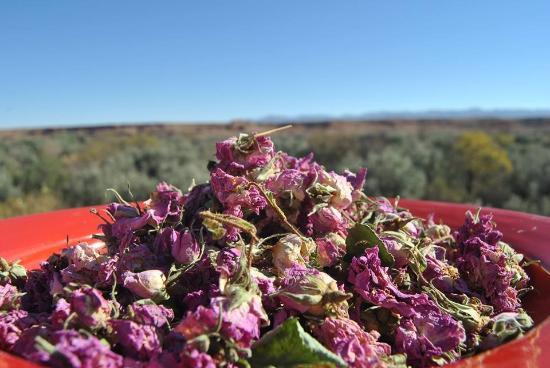 Roses Valley