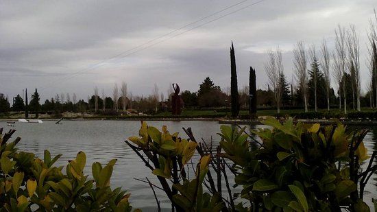 Auditorio Municipal Parque Juan Carlos I