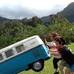 Blowfish Sushi to Die For