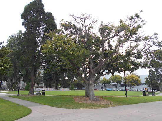 Martin Luther King Jr. Civic Center Park