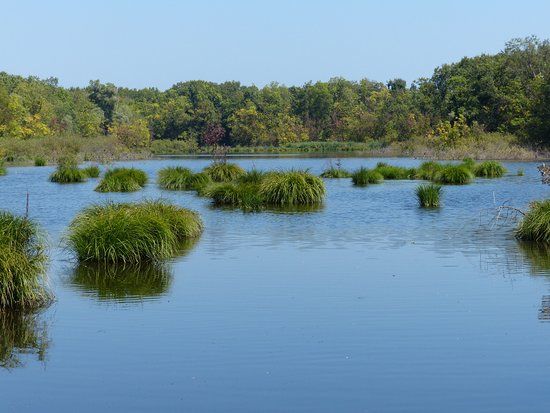 Oasi Di Punta Alberete