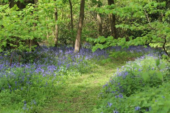 Pendeford Mill Nature Reserve