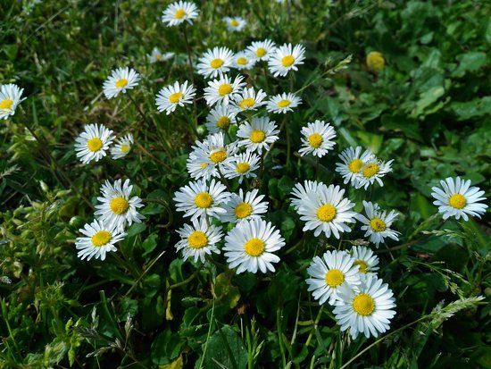 Parco Fluviale di Quattromiglia