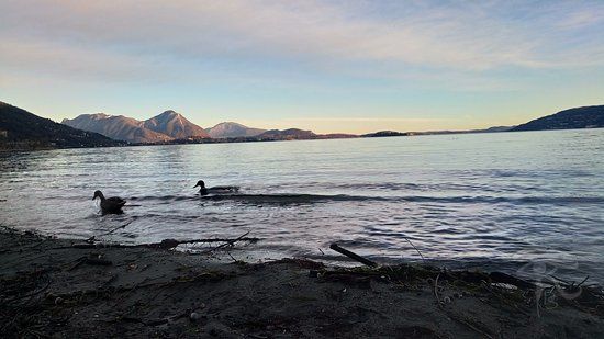 Riserva Naturale Speciale di Fondotoce