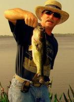 Sakura Elite Sushi and Hibachi