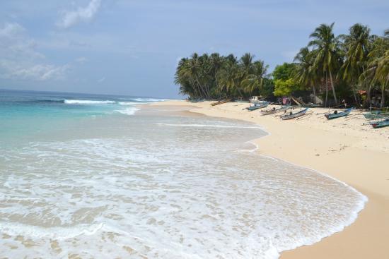 Banana Island