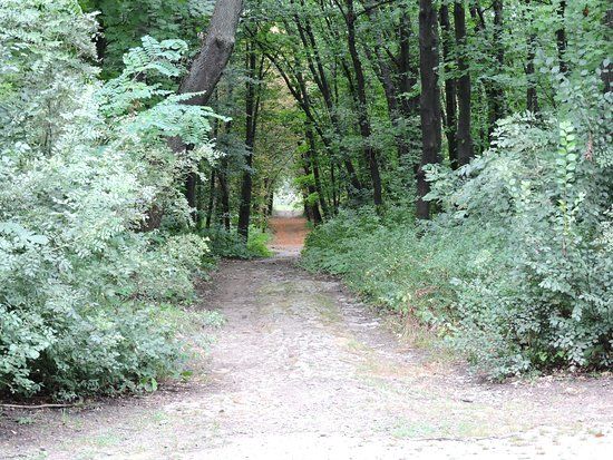 Zapaden Park