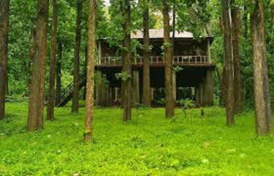 Anamalai Tiger Reserve