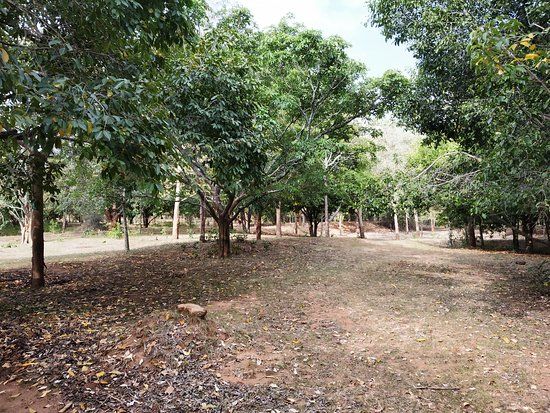 Nilgiri Biosphere Nature Park