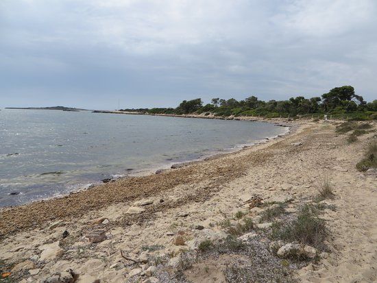 Playa Es Dofi