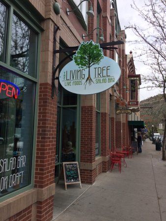 The Living Tree