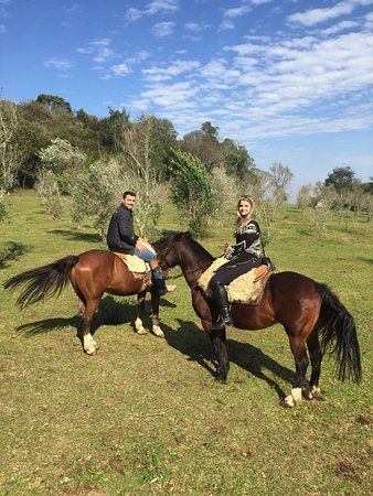 Haras Recando do Gaucho