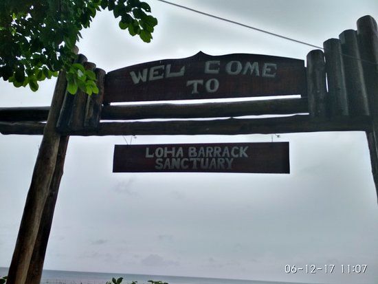 Lohabarrack Salt Water Crocodile Sanctuary