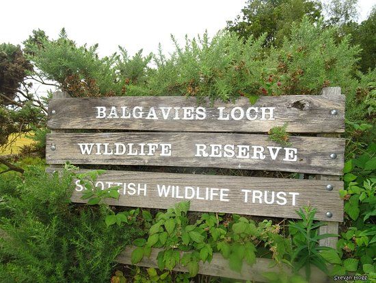 Balgavies Loch