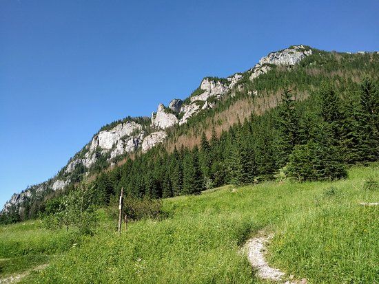 Dolina Kościeliska
