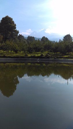 Bosque Esmeralda
