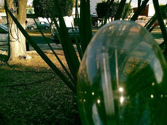 Jardin Lazaro Cardenas del Rio