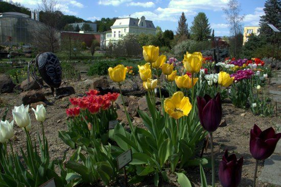 Botanical Garden Teplice