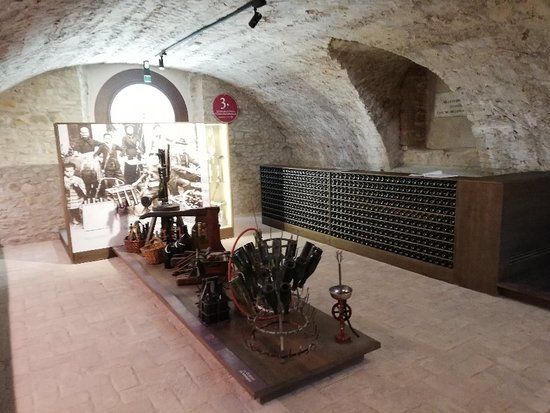 Museo del Vino