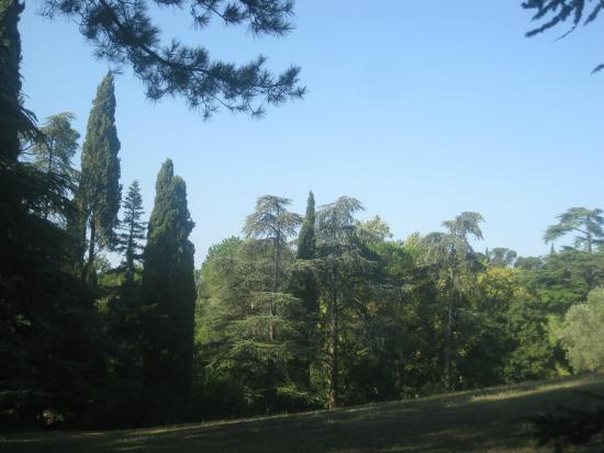 Nature of Imola