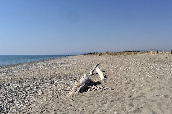 WWF Policoro Herakleia