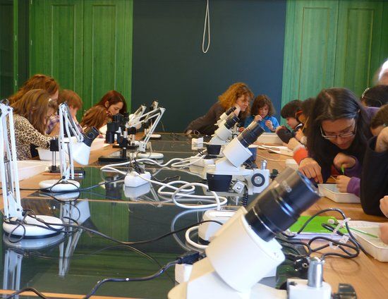 Granollers Museum of Natural Sciences