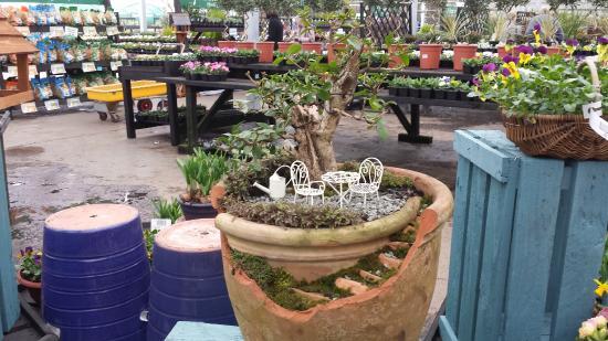 Azure Garden Centre & Cafe